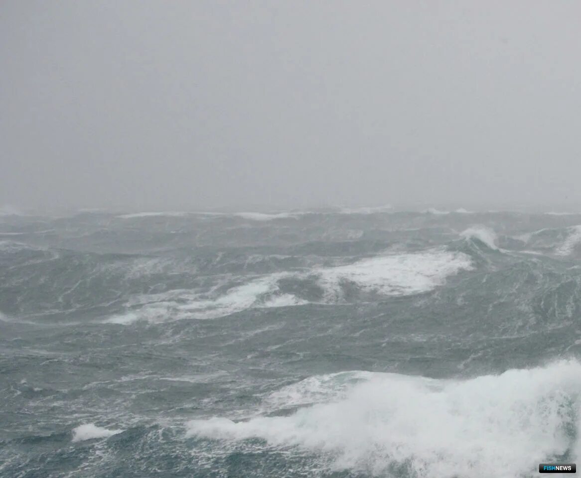 Стоимость шторм. Охотское море шторм. Охотское море Камчатка шторм. Шторм в Охотском море. Рыболовные суда в шторм в Охотском море.