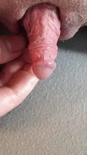 Dick clitoris xxgifs