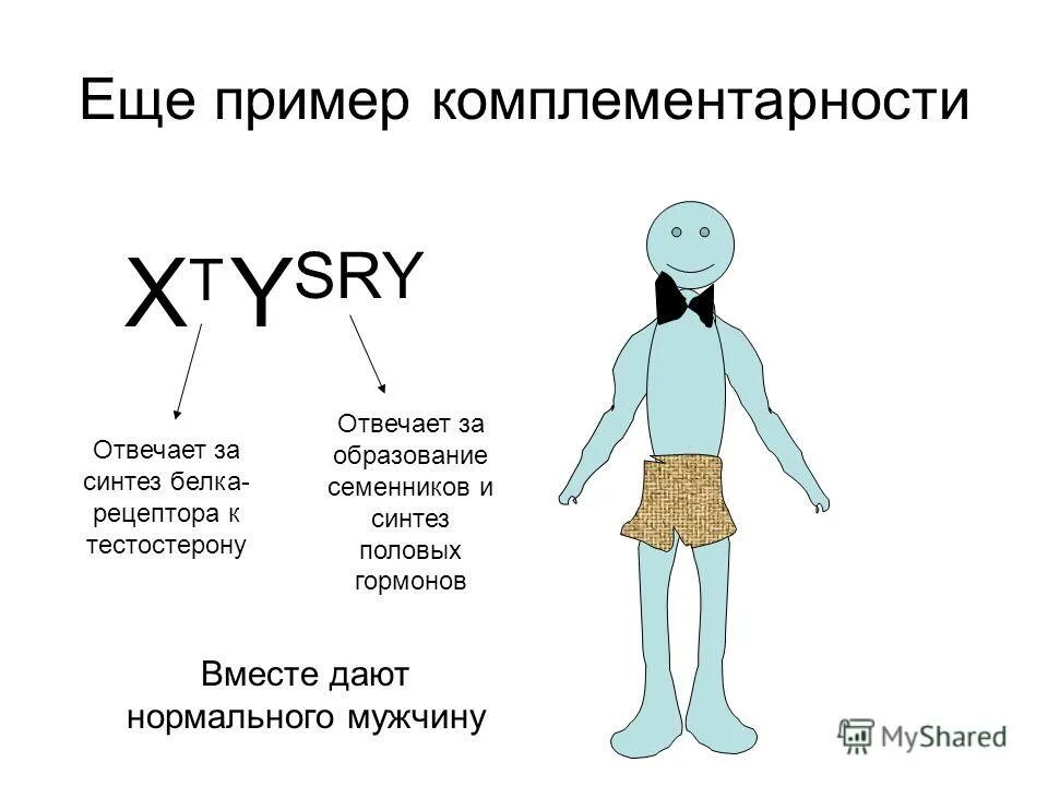 Примеры генов человека. Комплементарность примеры у человека. Комплементарность генов примеры. Комплементарность генетика примеры у человека. Комплементарное взаимодействие генов примеры у человека.