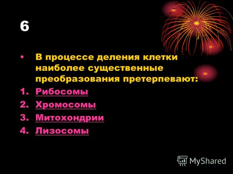 Претерпевать преобразования. Претерпевать преобразования