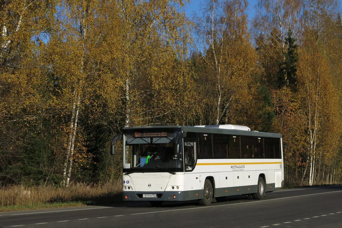 Автобус 887. Автобус 600. Isuzu citiport. Автобус 887. 887 автобус маршрут.