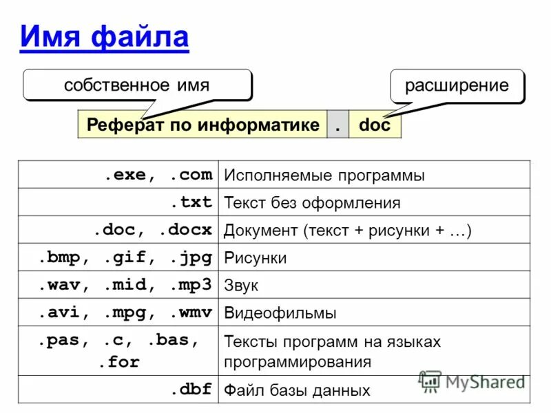 Русский язык txt. Имена файлов по информатике. Имя файла это в информатике. Расширение имени файла txt программа. Расширения по информатике.