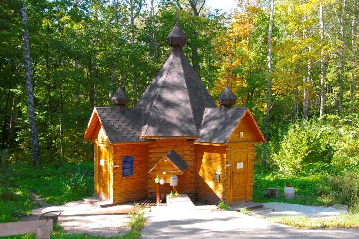 Жилье родники. Родник Наровчат. Паник Родник Наровчат. Наровчат Сканово паник Родник. Музей-заповедник Наровчатского района.