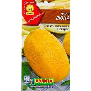 Дыня сибирская медовая