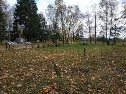 Поселок красный рог