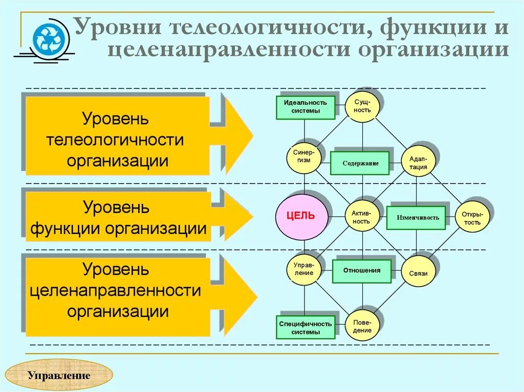 1 организационный уровень. Функция организации в теории организации. Уровни организации функций. .Целенаправленность в управлении предприятие. Уровни сущ организации.