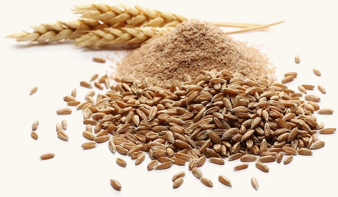 Спельта колосья. Пшеничное масло. Пшеница жир. Рис кукуруза пшеница рожь. Семена твердой пшеницы.