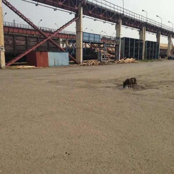 Ооо " металлоптторг". Металлоптторг улан-удэ. Ооо " металлоптторг". Металлоптторг история. Ооо " металлоптторг".