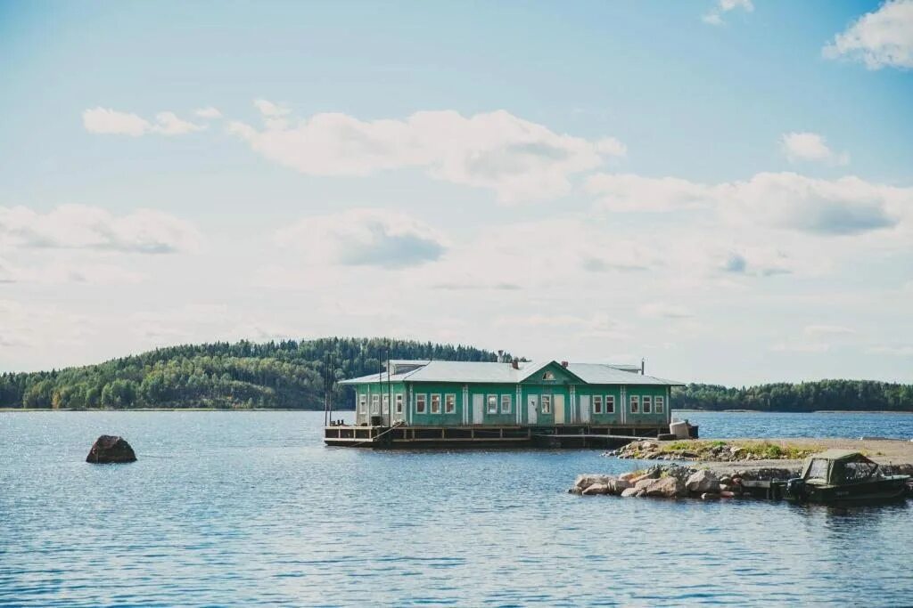 Jarvikala сортавала