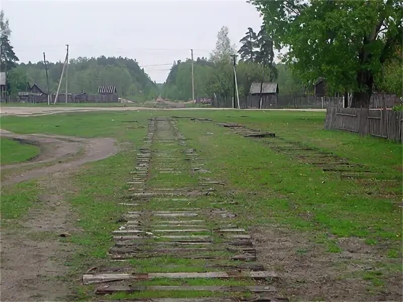 Население криуша. Население криуша. Деревня криуши чувашия. Лица ветеранов села новопичугово. Село криуши ульяновская область.