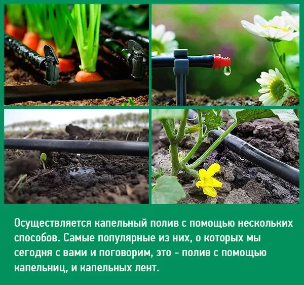 Капельные песни. Набор капельного полива урожай. Ленточная система капельного полива. Капельные песни. Система полива "водомерка" 4м.
