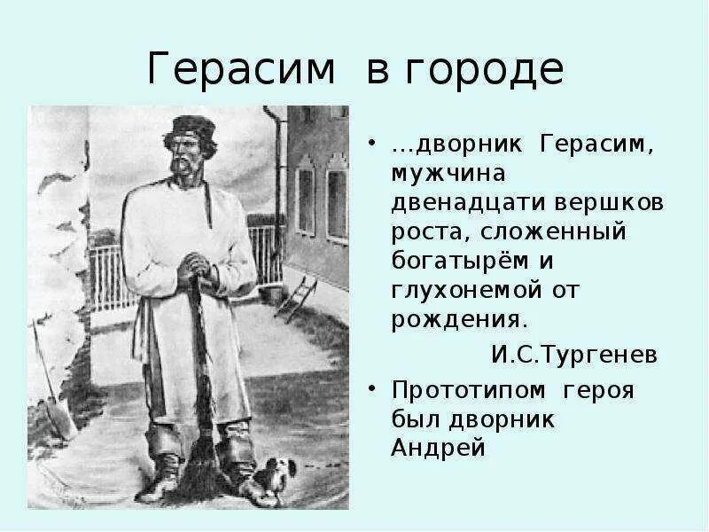 Сколько лет герасиму