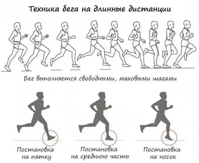 Техника бега на длинные дистанции (2 и3 км ). Правильное положение тела при беге на длинные дистанции. Как правильно бегать быстро на длинные дистанции. Как ставить стопу при беге на длинные дистанции.