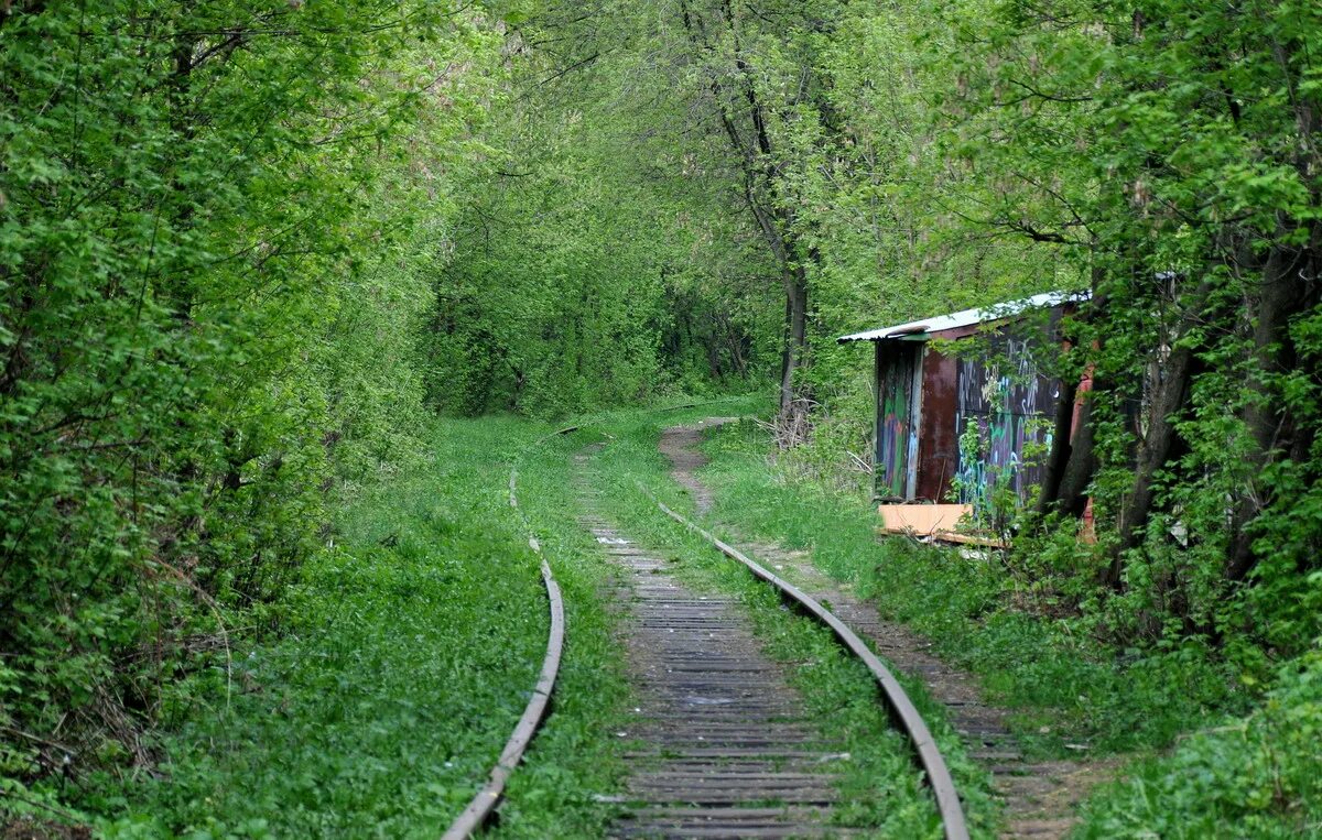 Станция метро "некрасовка", кожуховская линия. Люберцы ветка метро. Жд станция мальчики люберцы. Электричка панки яничкино. Некрасовская линия косино лефортово.