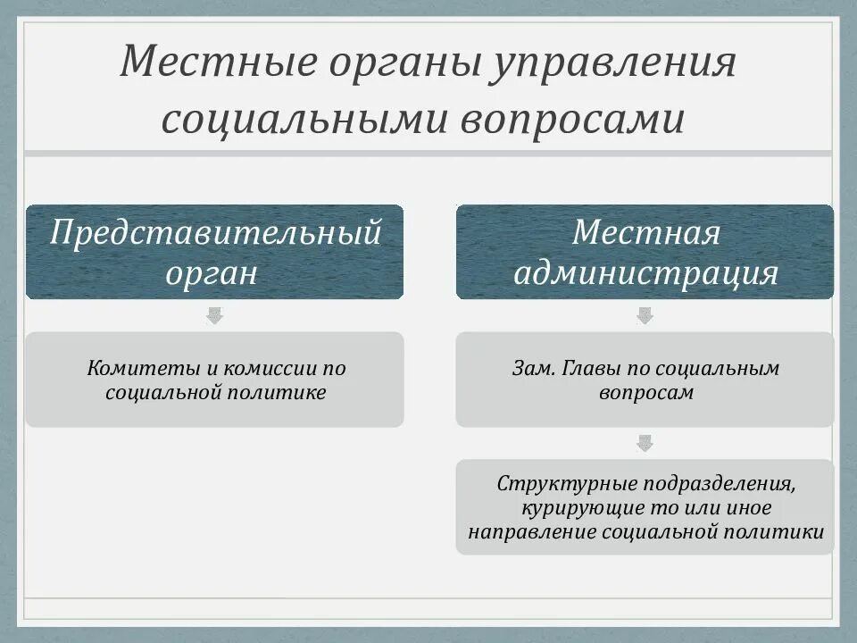 Органы управления соц обеспечения. Органы социального управления. Социальное управление орган управления. Органы управление социального обеспечения