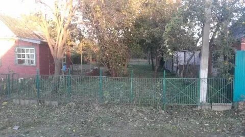 Погода дружелюбный краснодар
