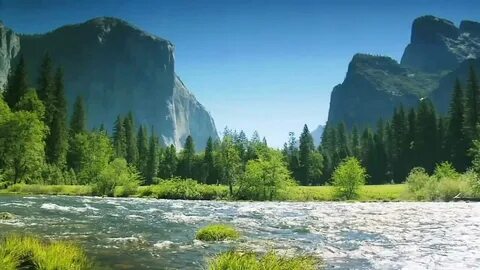 River let go
