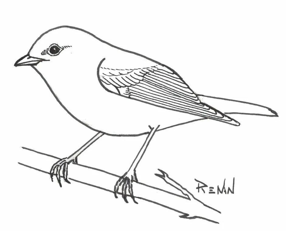 Un oiseau l oiseau. Un oiseau l oiseau