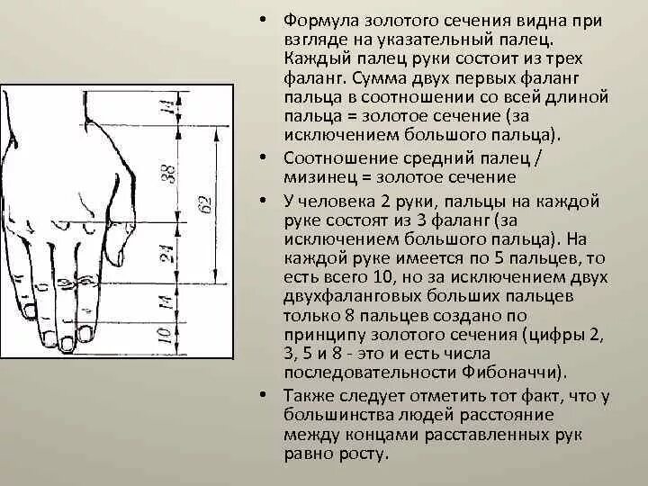 Числа фибоначчи отношение золотого сечения. Число фибоначчи золотое сечение. числа фибоначчи на руке. формула фибоначчи золотое сечение. числа фибоначчи в человеке.