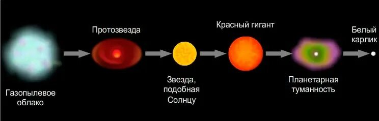 Что не входит в состав белого карлика. Белые карлики звезды образование. Этапы эволюции звезд карликов. Красный гигант и белый карлик. Эволюция звёзд схема протозвезда.