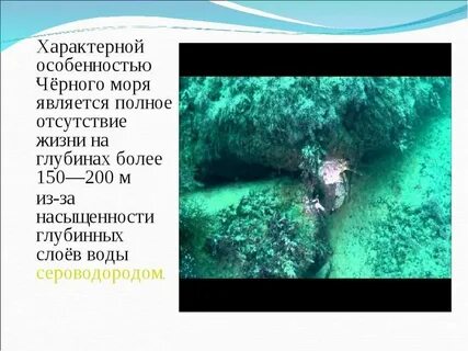 Сообщение о черном море 4 класс