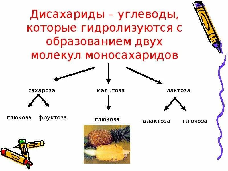 Названия групп углеводов. Углеводы дисахариды. Дисахариды это углеводы которые. Углеводы моносахариды дисахариды полисахариды. Углеводы которые гидролизуются.