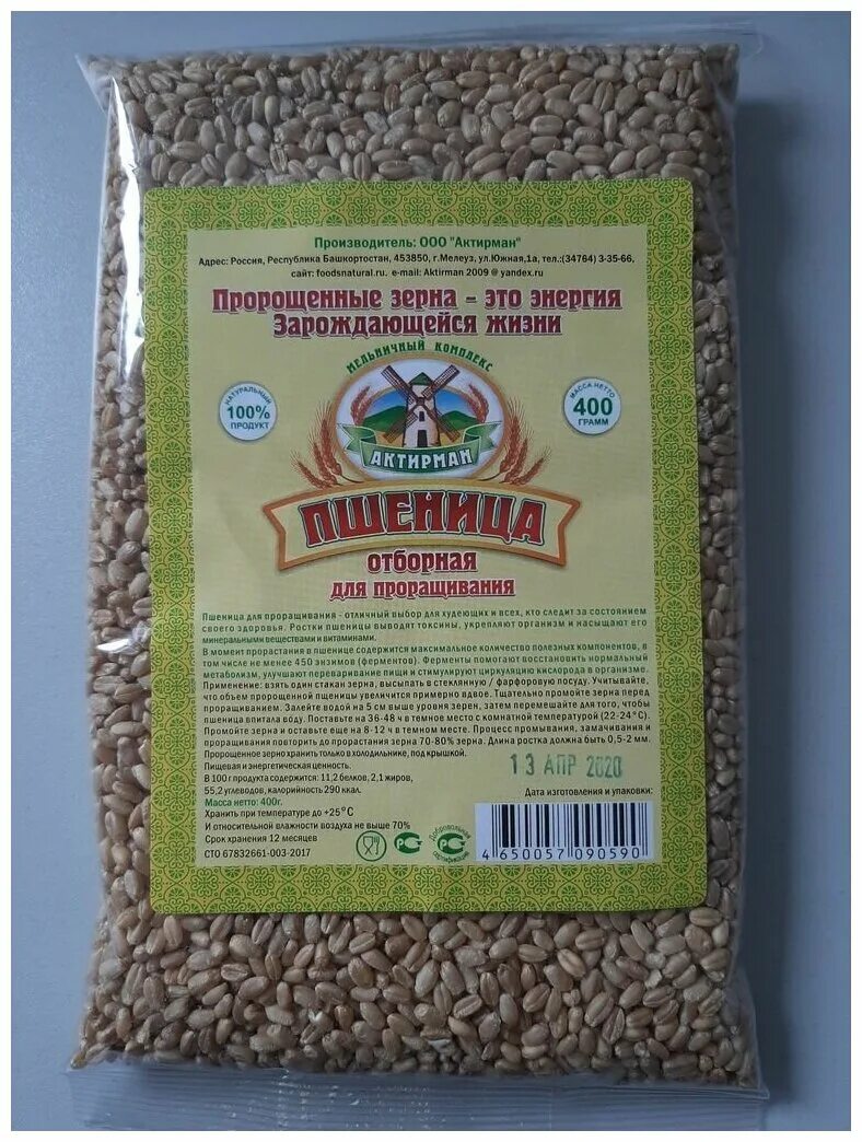 зерна для проращивания сыроед. зерна пшеницы для проращивания. здоровка овес для проращивания. пшеница здоровка для проращивания 300 г. пшеница для проращивания.
