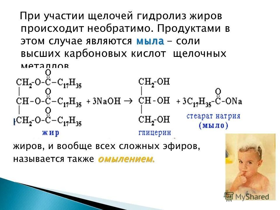 Щелочной гидролиз белка. Оксиран щелочной гидролиз. Уравнение реакции гидролиза жира. Реакция щелочного гидролиза. Гидролиз жиров происходит в.