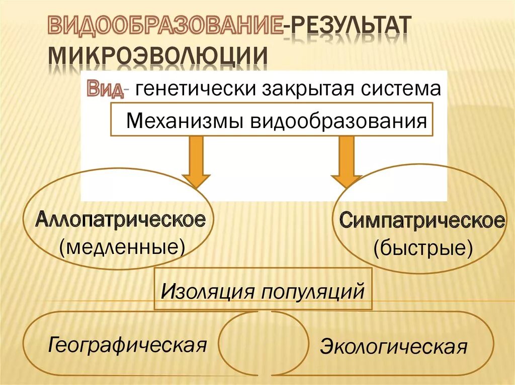 Процессы видообразования микроэволюция