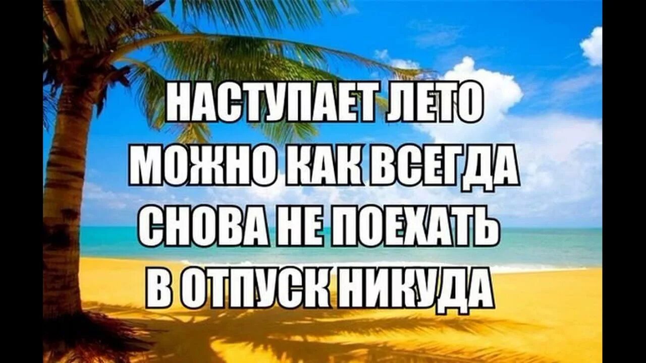 Приколы про лето. Цитаты про лето. Статусы про лето. Лето картинки прикольные. Вновь поехать