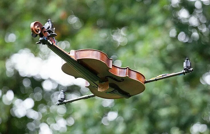 He a violin. Скрипка ворд. Скрипка Flying 1/4. Кастрюлина Violin. Прекрасная Кубинка видео скрипка.