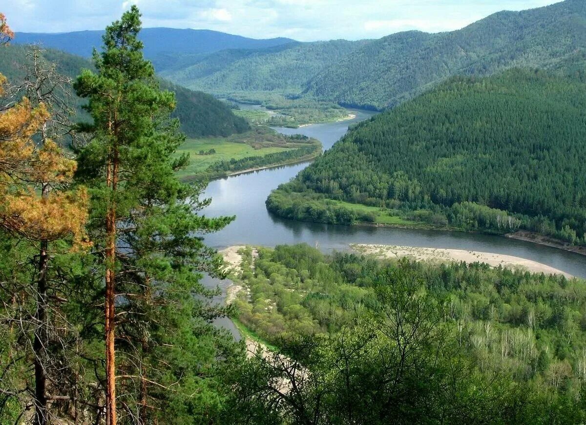 Забайкальский край. Река Ингода Забайкальский. Тайга Забайкальского края. Река Ингода в Забайкальском крае.