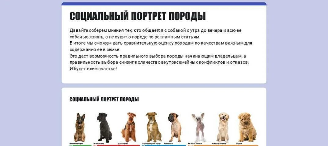Каких собак разводить. Тест для владельцев собак. . &quot;тесты для вашей собаки&quot;. сколько стоит сделать тест установить породу собаки в самаре.