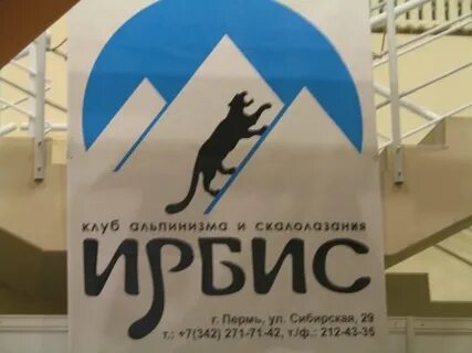 Клуб ирбис