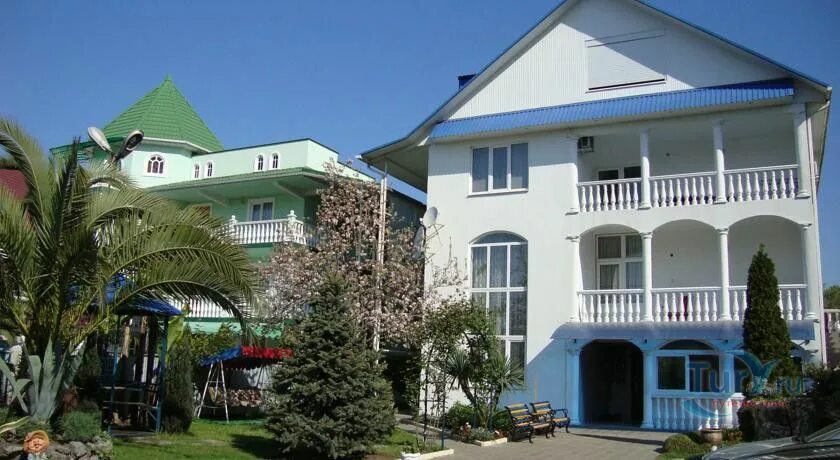 зеленый дом адлер. адлер ул лескова. адлер аэрофлотская 9 зеленый попугай. Green house адлер. грин хаус адлер ленина 219/5а.