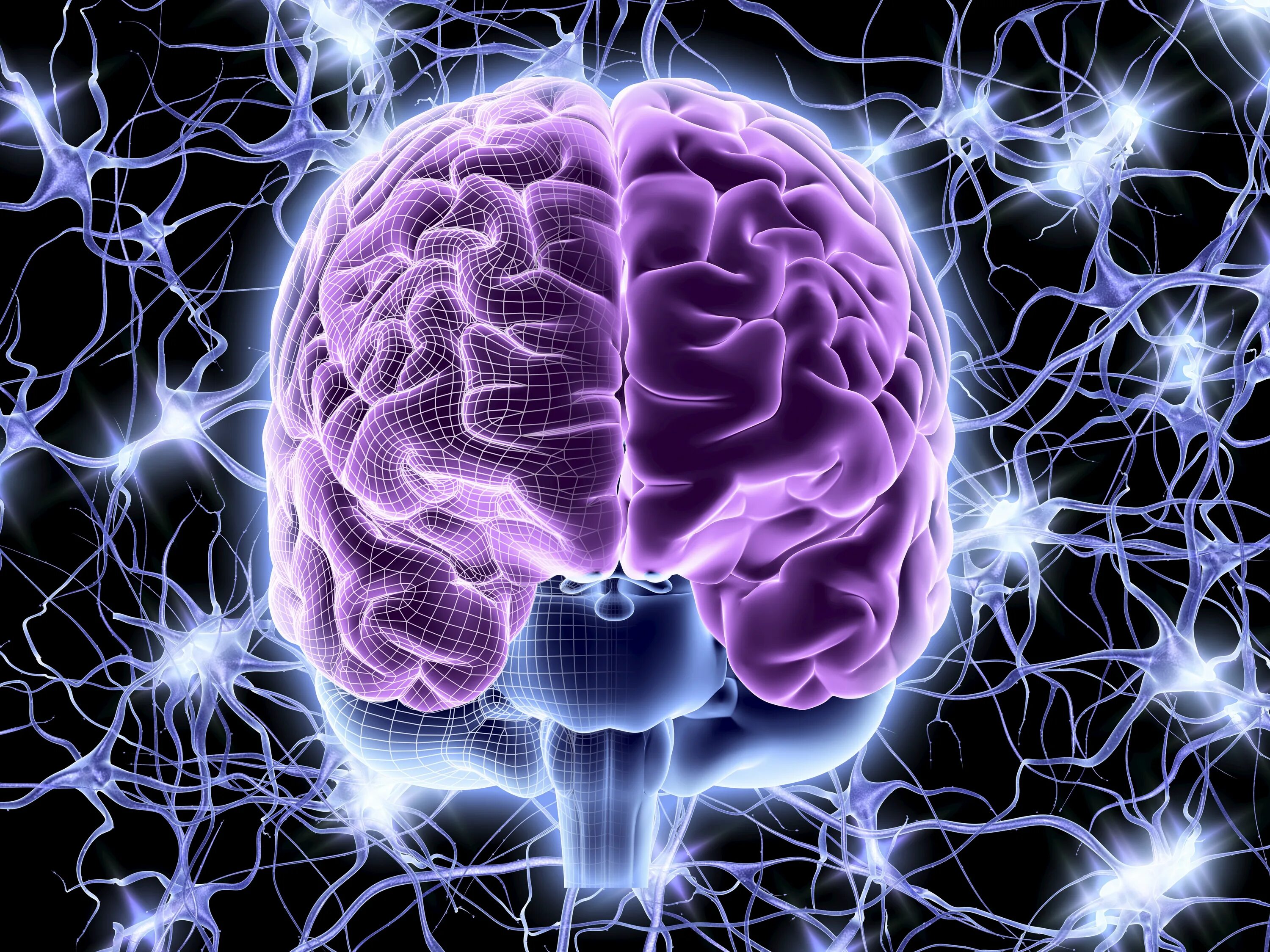 Эпилепсия нервной системы. Изображение мозга. Красивый мозг.
