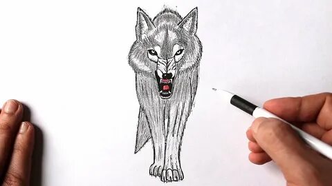 Как нарисовать волка видео