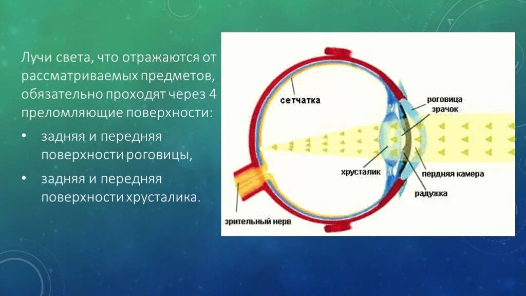 Через что может пройти свет. Оптическая система глаза. Оптическая система глаза презентация. Глаз как оптическая система. Строение глаза оптическая система глаза.