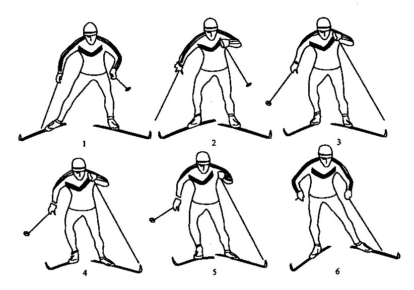Попеременный двухшажный коньковый ход. Коньковый попеременный двух шажный ход. Попеременный двухшажный коньковый ход техника. Одновременный двухшажный коньковый ход. Элементы передвижения на лыжах