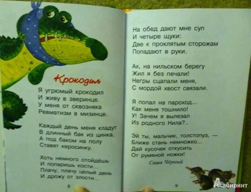 Песня про крокодила я иду по зоопарку. Стихотворение про крокодила. Стихотворение про крокодилов?. Стих про крокодила для детей. Черный стихотворение крокодил.