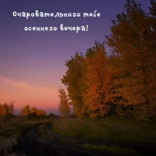 Текст вечереет