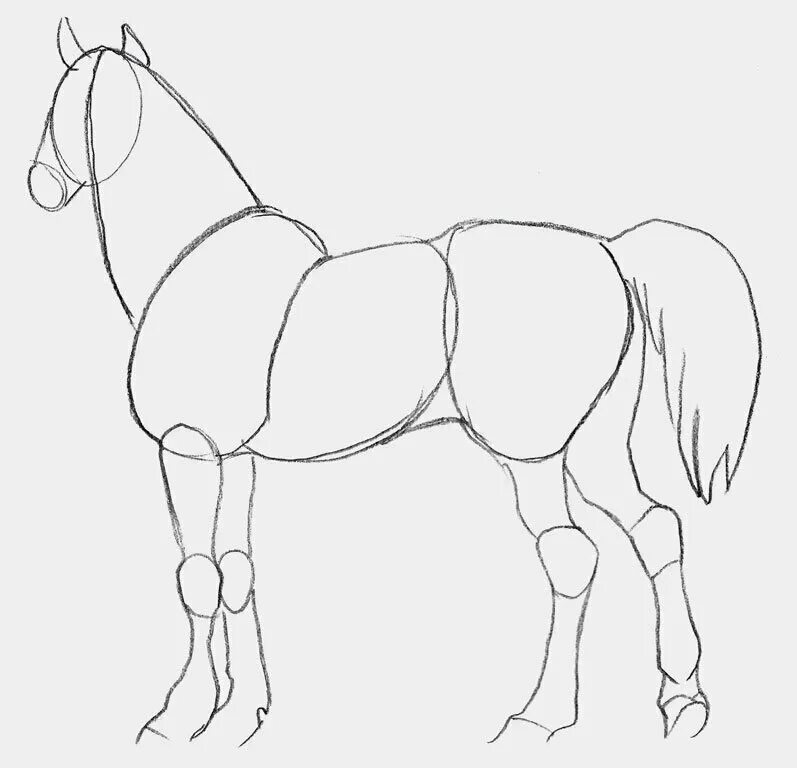 Лошадь карандашом. Лошадь рисунок карандашом. Поэтапное рисование лошади. Рисунки лошадей для срисовки.