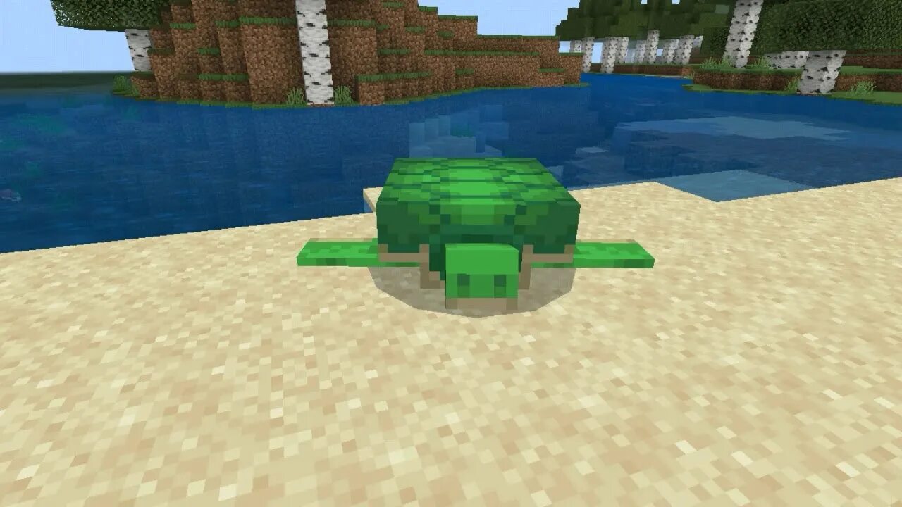 Чем кормить черепаху в майнкрафт. Морская черепаха из МАЙНКРАФТА. Черепаха из майна. Мод майнкрафт Черепашки. Морская черепашка майнкрафт.