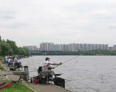 Фидер москва река