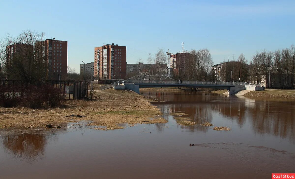 Р тосно. Река тосно. река тосно ленинградская область. река в городе тосно. устье реки тосно.