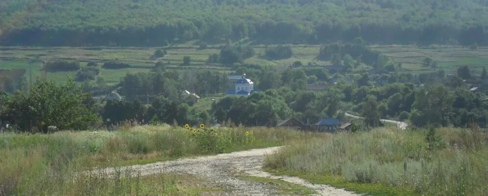 Донгуз балтайского района саратовской области. Село Донгуз Балтайского района Саратовской области. Село Донгуз Саратовской области. Донгуз (река). Храм в селе Донгуз Саратовская область.