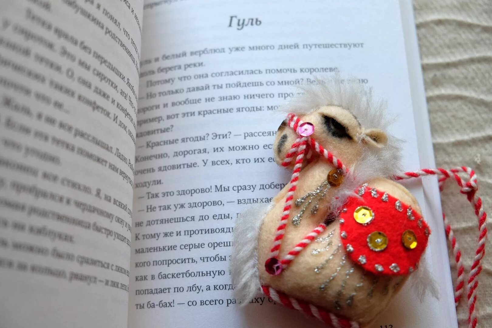 Где нет зимы кратко. Книга где нет зимы.