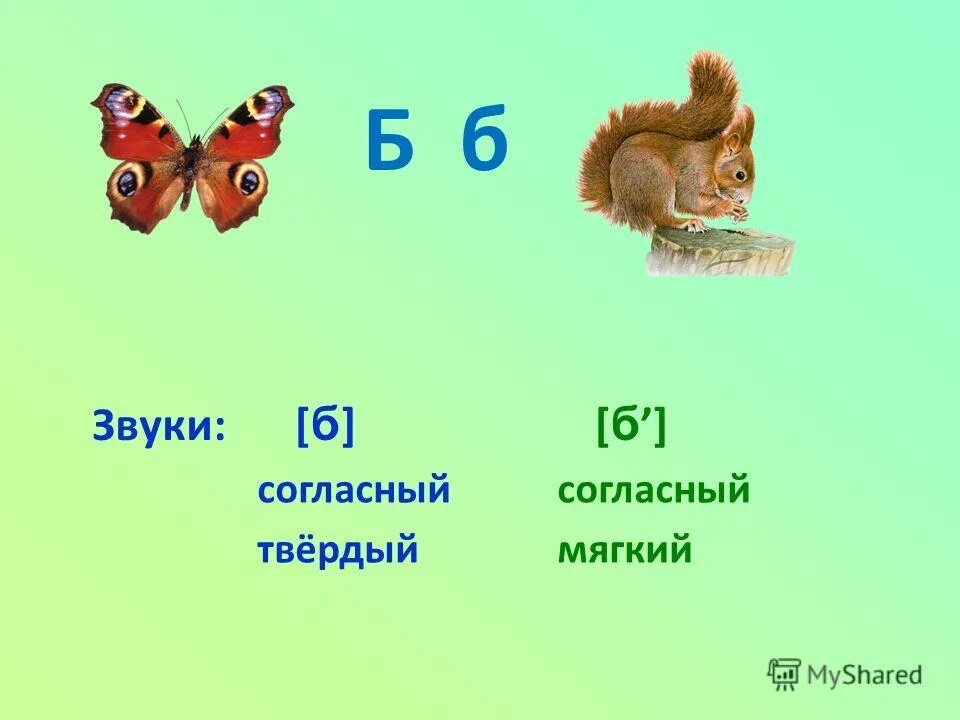 Согласный звук начинается с. Слова с твердым звуком б. Слова с мягким звуком б. Твердый звук б. Буква б мягкая и твердая.