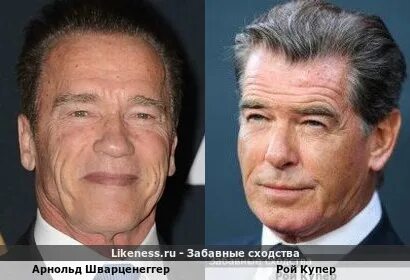 Шварценеггер похожие