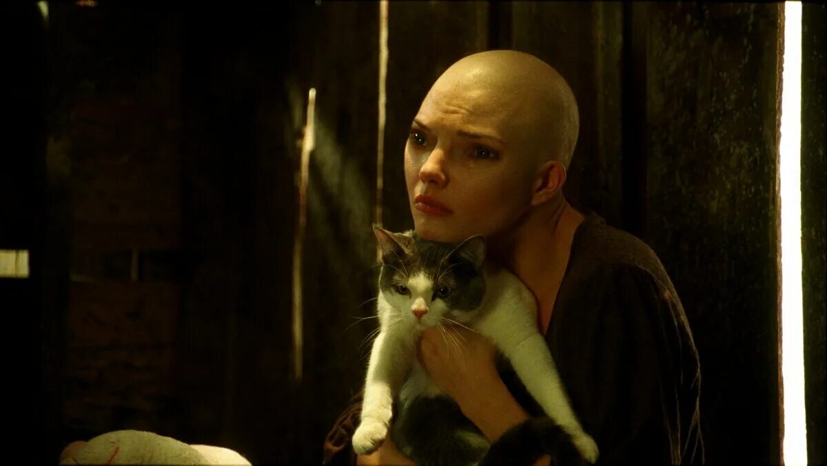 химера люди фото